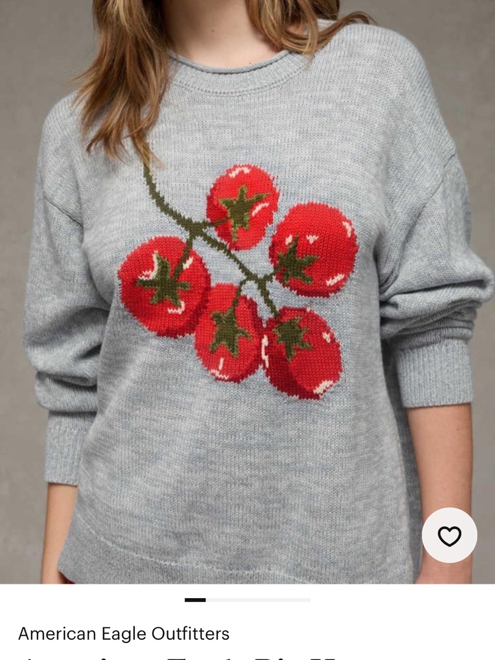 American Eagle Outfitters Big Hug Sweater with Red Tomato Motif
